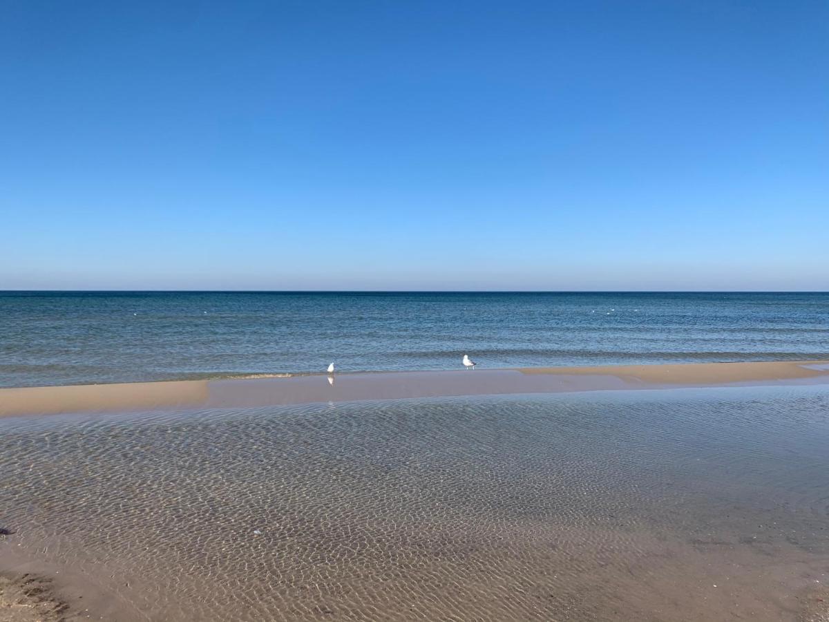 ジブヌベクSurf'N Beach Apartamentアパートメント エクステリア 写真